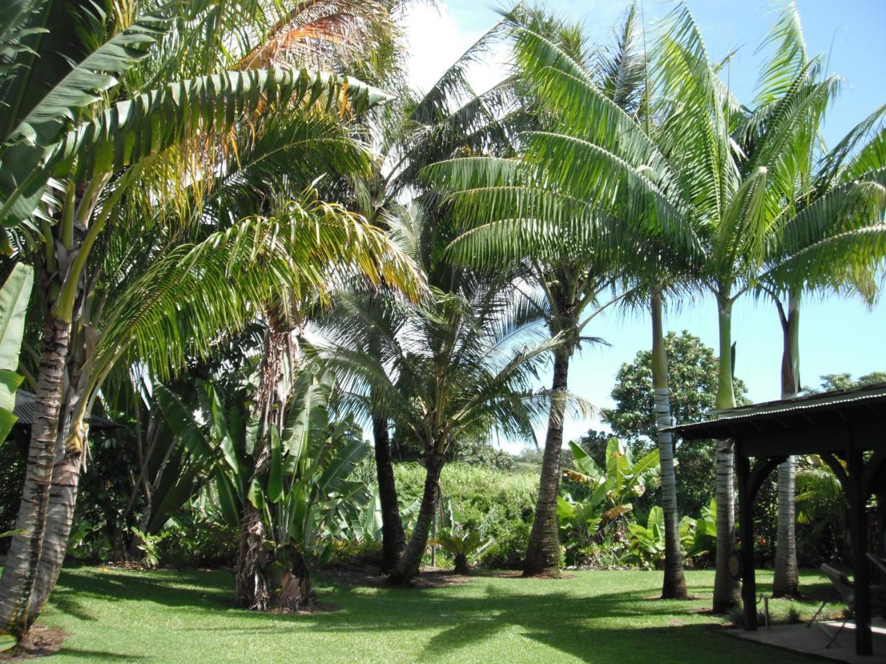 Island Goode'S - Luxury Adult Only Accommodation Near Hilo Papaikou Exterior foto